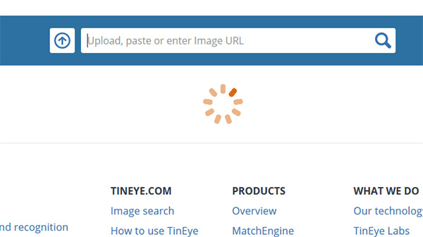 Поиск картинок в Tineye