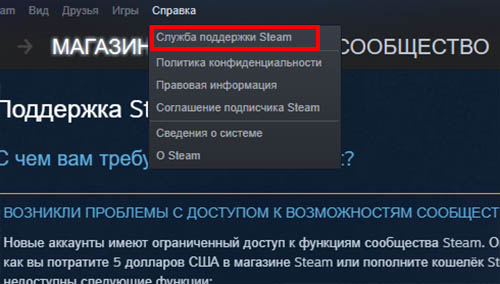 Служба поддержки Steam