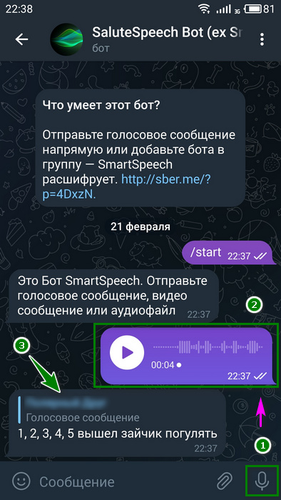 Процесс преобразования голосового сообщения в текст ботом SaluteSpeech Bot