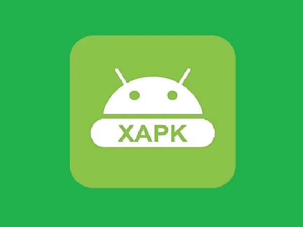 Обозначение файла XAPK