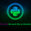 [Errno 2] No such file or directory